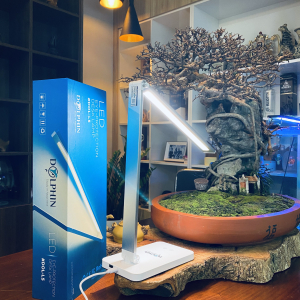 z5043539363434-f072e1c22f06d79e9e6601843d715e98